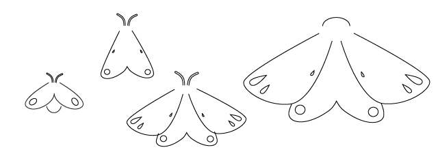 moths evolution